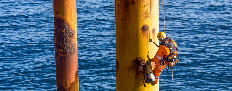 Applying coatings to a ring using rope access